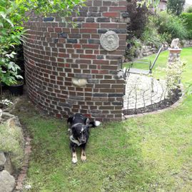 Willers Gartengestaltung Rastede Holzterrassen