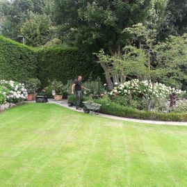 Willers Gartengestaltung Rastede Rollrasen